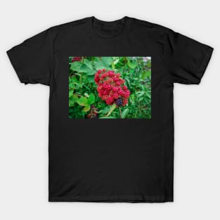 Wild Blackberries T-Shirt